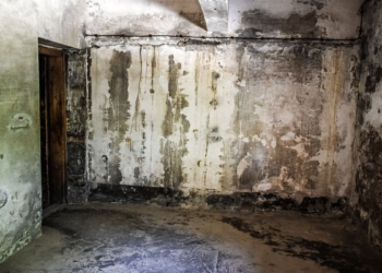 Movimientos eugenésicos durante el siglo XX