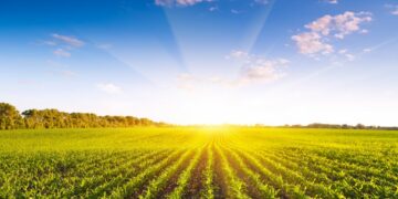 У СВЕТУ ИЗА ОГЛЕДАЛА: МИРОСЛАВ МАРАВИЋ О КОРОНОКРАТИЈИ