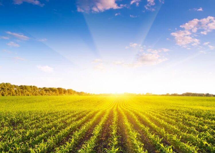 У СВЕТУ ИЗА ОГЛЕДАЛА: МИРОСЛАВ МАРАВИЋ О КОРОНОКРАТИЈИ