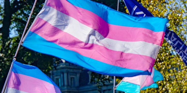 bandiera transgender