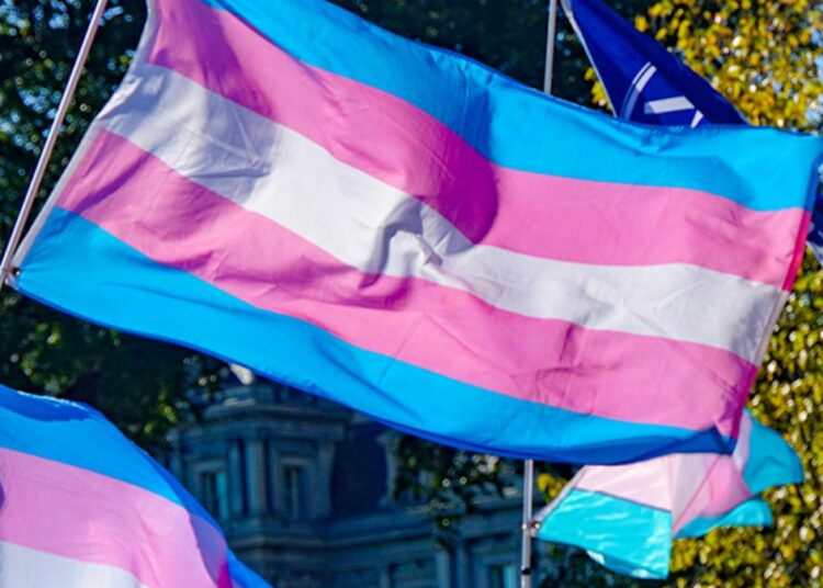 bandiera transgender