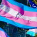 bandiera transgender