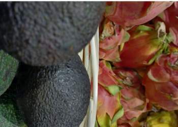 La primizia del Natale