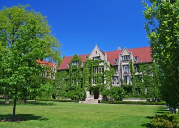 АМЕРИЧКИ УНИВЕРЗИТЕТИ ПОСТАЈУ СВЕ ЛУЂИ