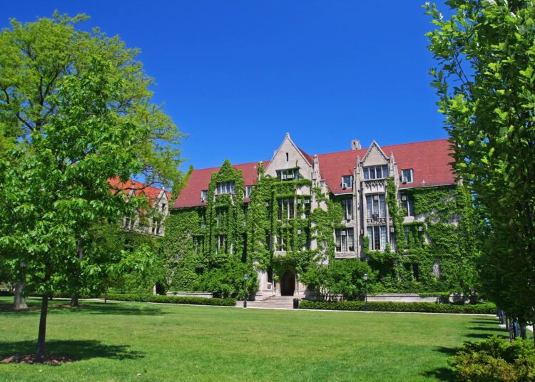 The lunacy of the university does not stay in the university