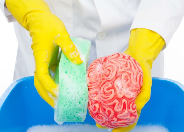 ИСПИРАЊЕ МОЗГА И ЗАСТРАШИВАЊЕ: КАКО ЛЕВИЧАРИ ПОБЕЂУЈУ