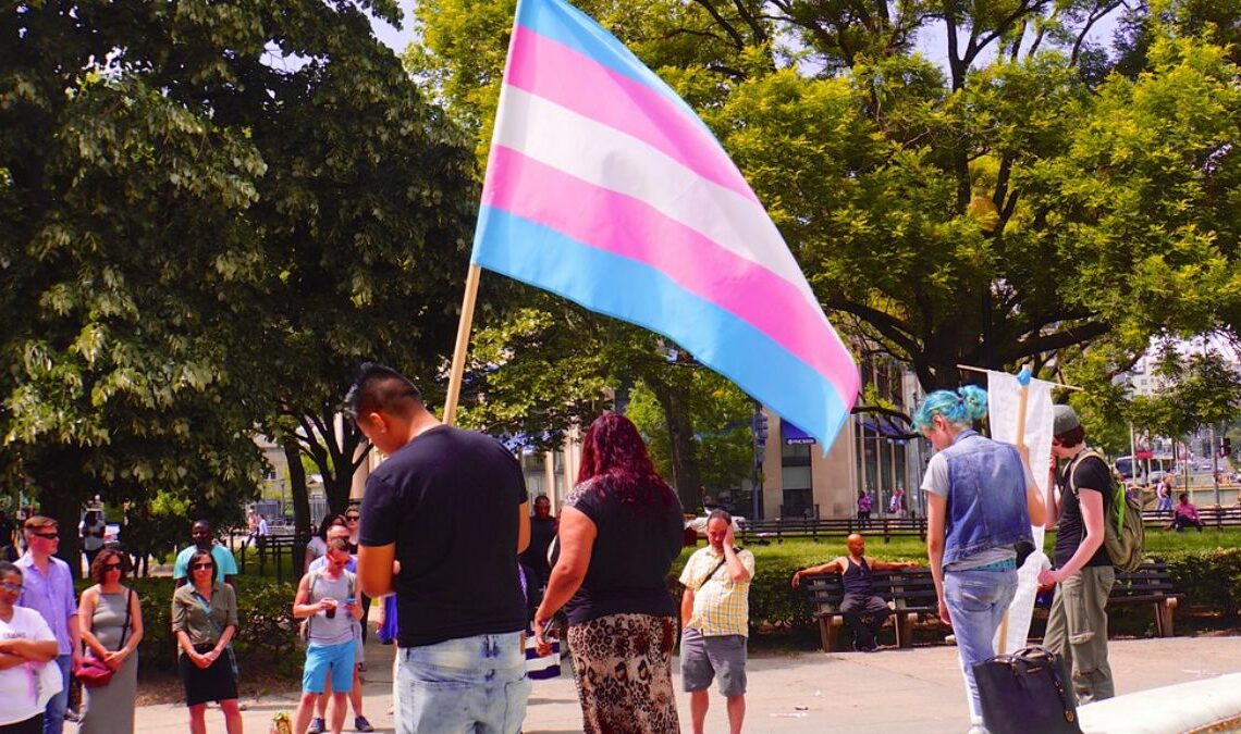 Transgender flag