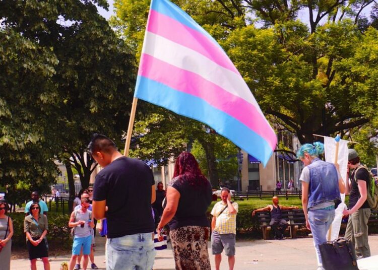 Transgender-Flagge