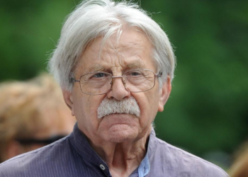 ШТА НАМ ЉУБИВОЈЕ РШУМОВИЋ ГОВОРИ О ДЕЦИ