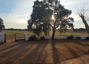 La vie c’est ça, et rien d’autre