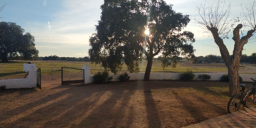 La vie c’est ça, et rien d’autre