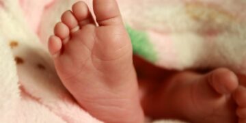 Image from Public Domain Images