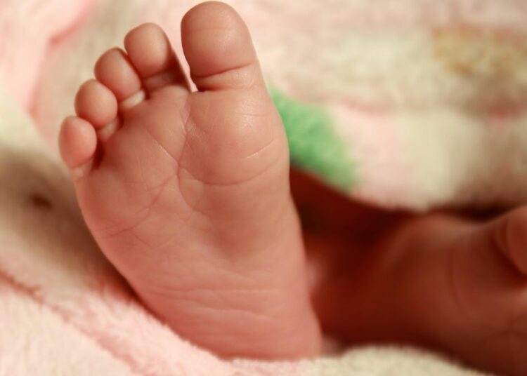 Image from Public Domain Images