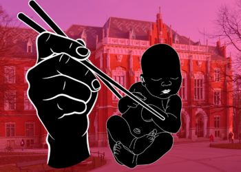 Farsz do pierogów z płodów?