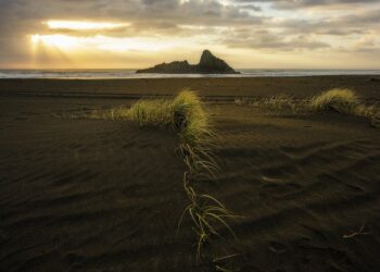 Легализация эвтаназии в Новой Зеландии