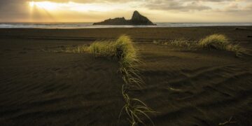 Легализация эвтаназии в Новой Зеландии