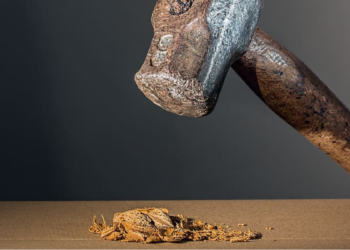 Sind wir Opfer des MK-Ultra-Projekts der Gedankenkontrolle? Teil 1