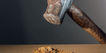 Sind wir Opfer des MK-Ultra-Projekts der Gedankenkontrolle? Teil 1