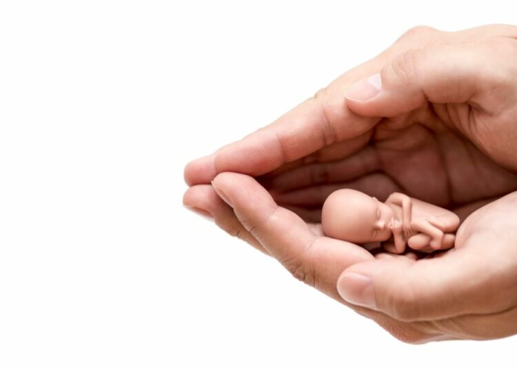 ЕМБРИОН ИМА ЉУДСКА ПРАВА ИЛИ ЗАШТО СЕ У СВЕТУ СВЕ ОВО ЗБИВА