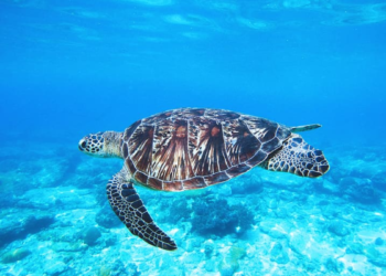 Lo que no te cuentan del cambio climático