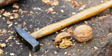 Sind wir Opfer des MK-Ultra-Projekts der Gedankenkontrolle? Der Weg zur neuen Weltordnung – Teil 2