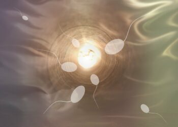 Diagnosi pre-impianto nella PMA «non dimostrata e non etica»