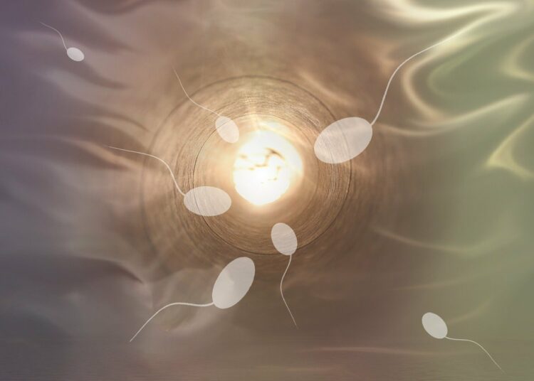 Diagnosi pre-impianto nella PMA «non dimostrata e non etica»