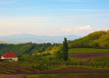 НА ПРЕДЛОГ ЂАКА ПРОФЕСОРИ ИЗАБРАЛИ НАЈЛЕПШУ РЕЧ СРПСКОГ ЈЕЗИКА : ПРАСКОЗОРЈЕ