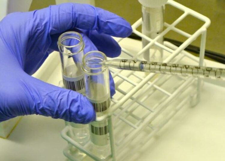 Fecondazione in vitro