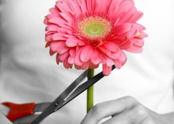 «Non si possono abbandonare e far morire depressi e disabili»