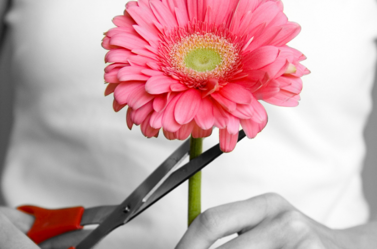 «Non si possono abbandonare e far morire depressi e disabili»