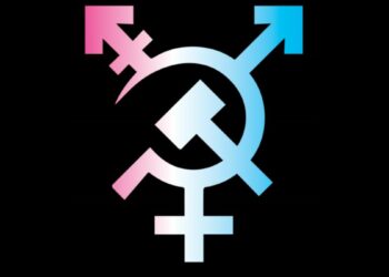 КАКО НАМ ТРАНСРОДНИ ПОКРЕТ ИЗОПАЧУЈЕ ЈЕЗИК