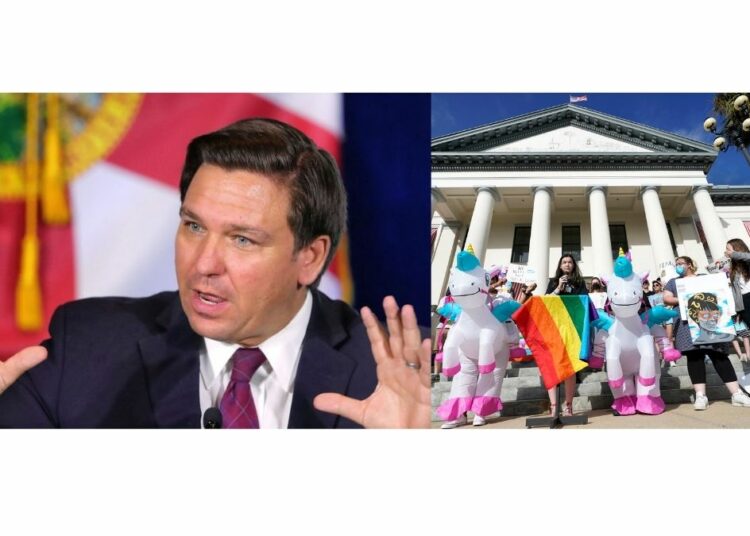 Se aprueba legislación «Stop W.O.K.E.», y los izquierdistas están furiosos
