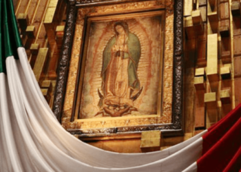 El fenómeno Guadalupano