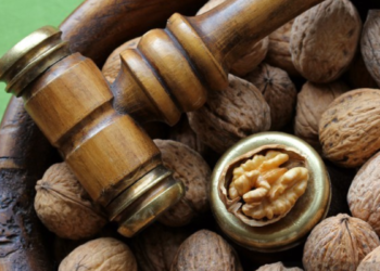 Qué fin persiguen las élites. Parte 4