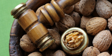 Qué fin persiguen las élites. Parte 4