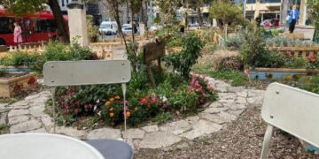 ПЕРМАКУЛТУРНА БАШТА У СРЕД БЕОГРАДА