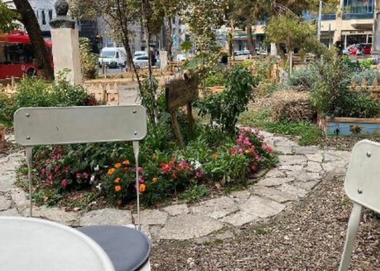 ПЕРМАКУЛТУРНА БАШТА У СРЕД БЕОГРАДА