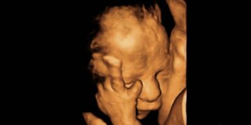 Potenzielle Opfer von Kindstötungen in Washington D.C. gefunden