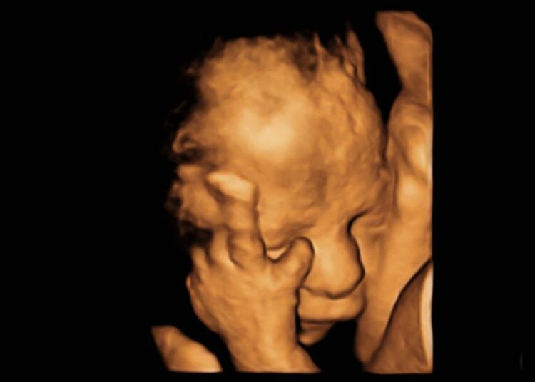 Potenzielle Opfer von Kindstötungen in Washington D.C. gefunden