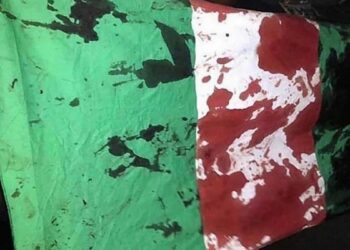 Blutige Flagge von Nigeria