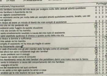Caregiver questionario