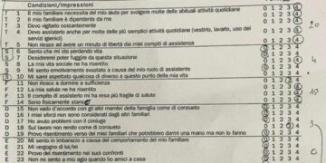 Caregiver questionario