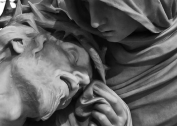 Un brin de violettes