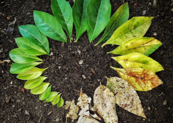 Hic et nunc: somos tan fugaces