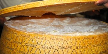 «Nostradomus». L’invenzione del grana padano