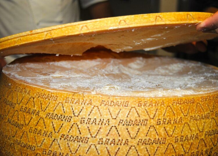 «Nostradomus». L’invenzione del grana padano
