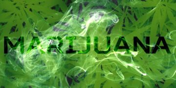 Basta bugie, stop alla legalizzazione della cannabis