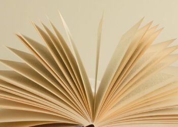 Оригинальный шведский подарок российским детям