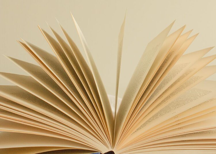 Оригинальный шведский подарок российским детям